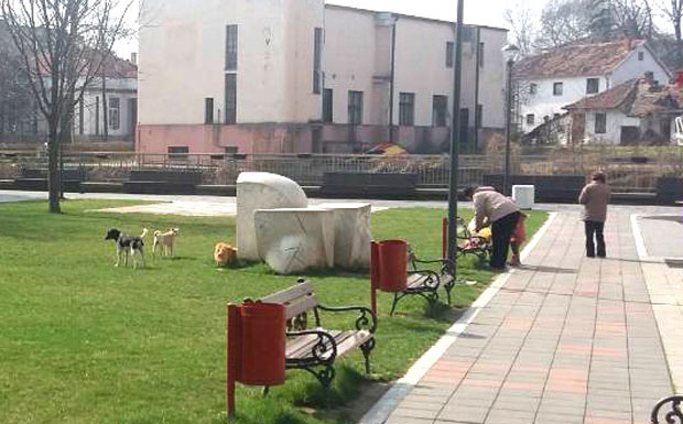 Тек сваки десети стварно и уједен